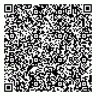 vCard 79993358093
