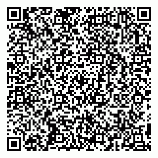 vCard 79993358304