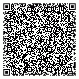 vCard 79993358379