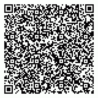 vCard 79993425285