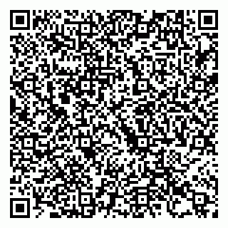 vCard 79993425294