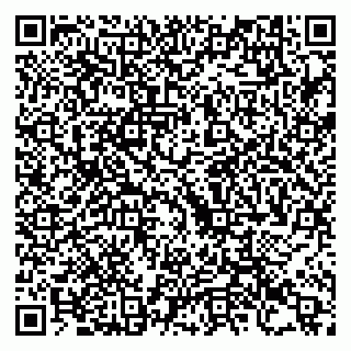 vCard 79993425303