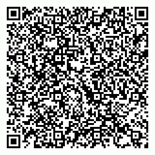 vCard 79993425308