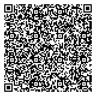 vCard 79993425313