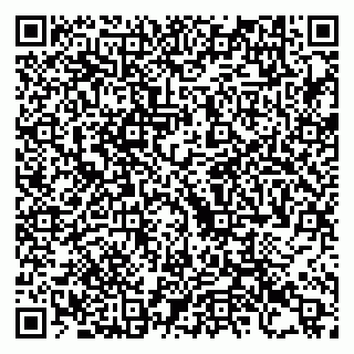 vCard 79993425333