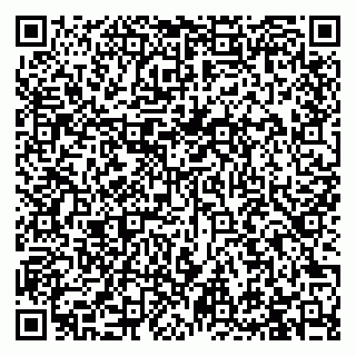 vCard 79993425383