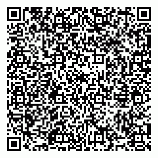 vCard 79993425384