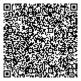 vCard 79993425387