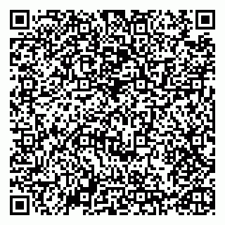 vCard 79993425388