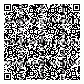 vCard 79993503001