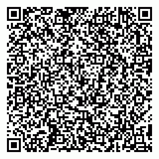 vCard 79993503003