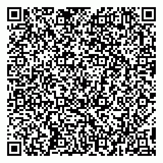 vCard 79993503005