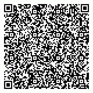 vCard 79993503006
