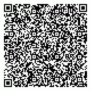 vCard 79993503011