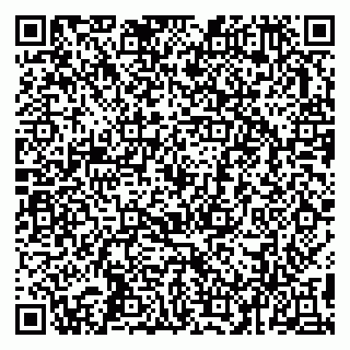 vCard 79993503020