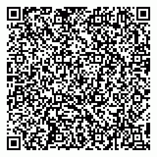 vCard 79993503026