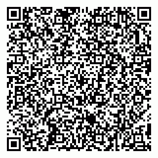 vCard 79993503031