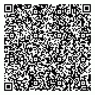 vCard 79993503063