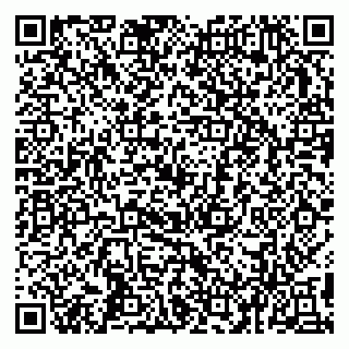 vCard 79993503065