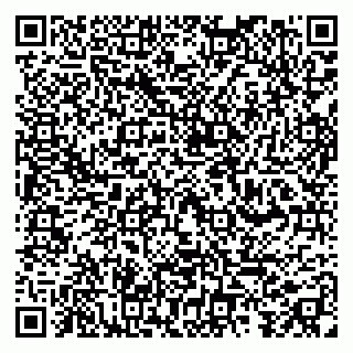 vCard 79993503079
