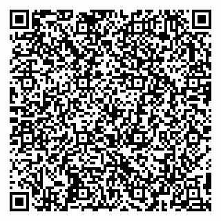 vCard 79993503085