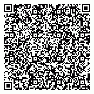 vCard 79993503100