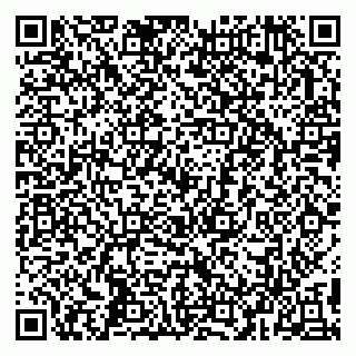 vCard 79993503101