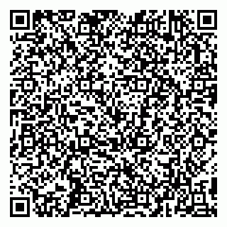 vCard 79993503103