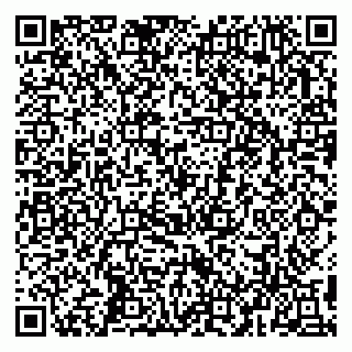 vCard 79993503104