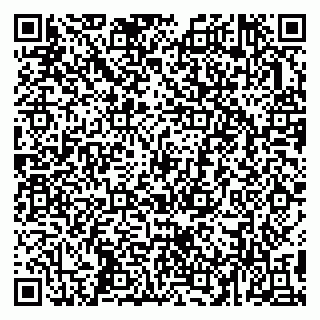 vCard 79993503133