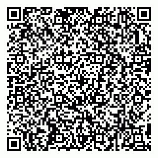 vCard 79993503136