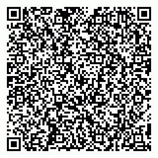 vCard 79993503140