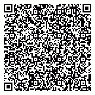 vCard 79993503168