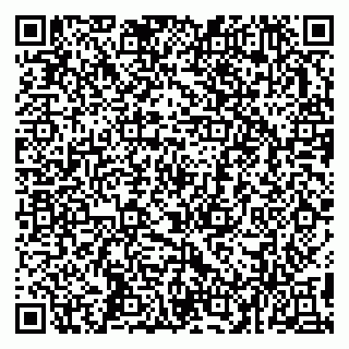 vCard 79993503175