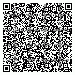 vCard 79993503194