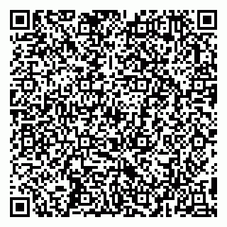 vCard 79993503200