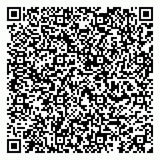 vCard 79993503203