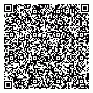 vCard 79993503204