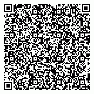 vCard 79993503205