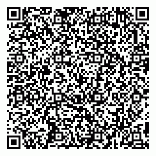 vCard 79993503211