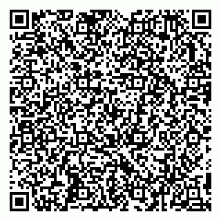 vCard 79993503220