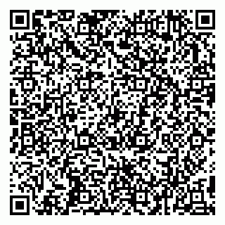 vCard 79993503221