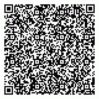 vCard 79993503251