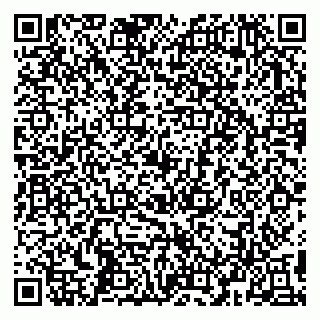 vCard 79993503285