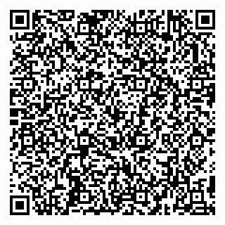 vCard 79993503293
