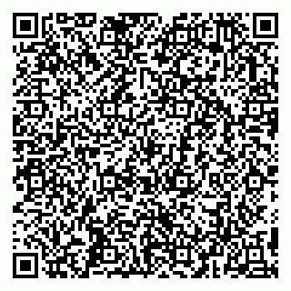 vCard 79993503300