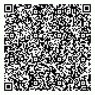 vCard 79993503301