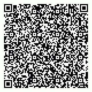 vCard 79993503303