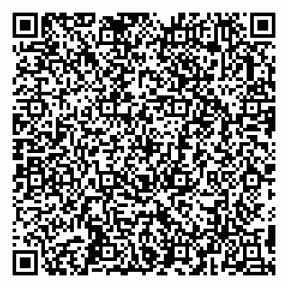 vCard 79993503304