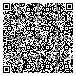 vCard 79993503313